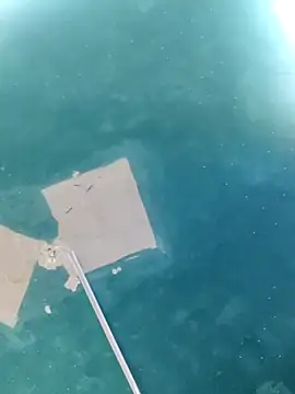 maicol6699 online show from 04-18-26, 05:11