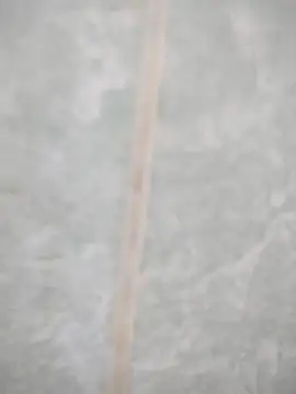 maicol6699 online show from 04-19-26, 03:06