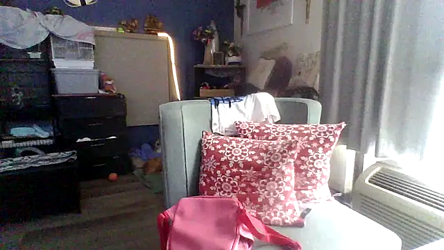 Dicksee Left online show from 04-29-26, 03:49