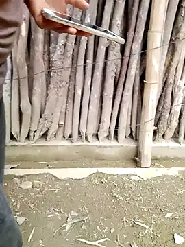 ngockem online show from 06-18-26, 10:19