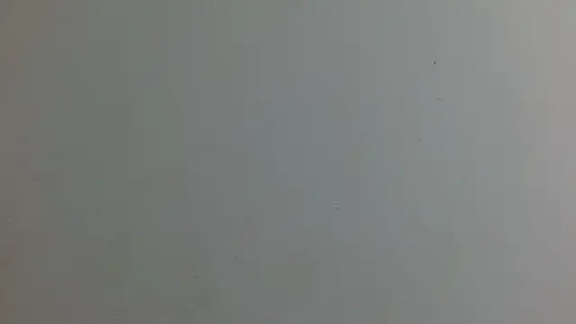 Snapshot of soofia_1609 chatting on 05-05-26, 08:17 soofia 1609 online show from 05-05-26, 08:17