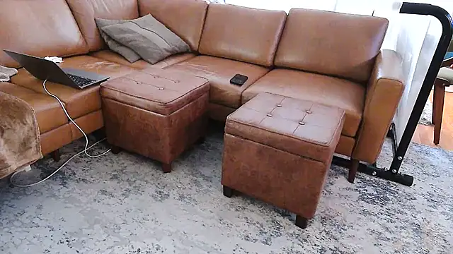 gaydandyboy online show from 05-26-26, 09:33