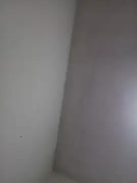 wbrankinha online show from 06-03-26, 02:33