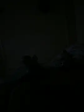 Snapshot of Timmy_T chatting on 05-15-26, 01:12 Timmy T online show from 05-15-26, 01:12