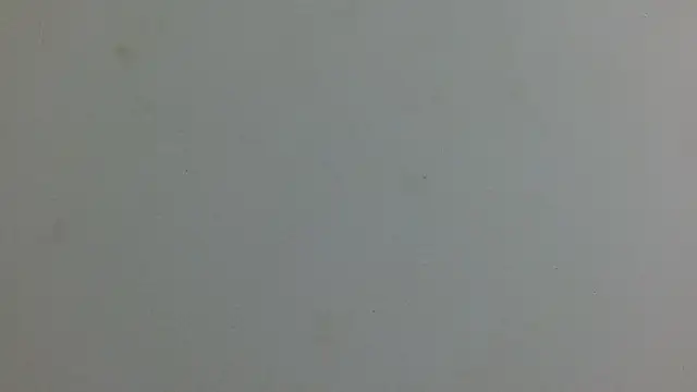 Snapshot of luna_bella160920 chatting on 06-01-26, 12:40 luna bella160920 online show from 06-01-26, 12:40