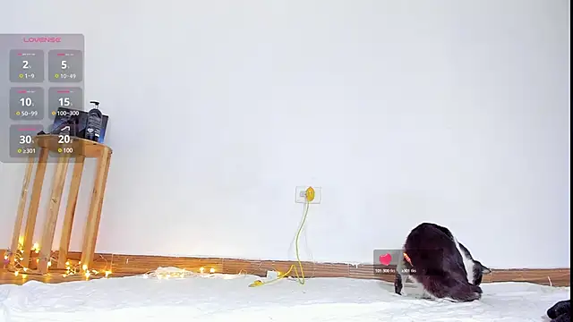 Snapshot of abilX chatting on 01-24-25, 01:57 abilX online show from 01-24-25, 01:57