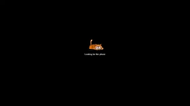 bella-diaz online show from 07-13-26, 08:33