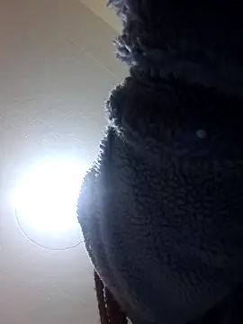 Snapshot of Miss_Bunny5 chatting on 07-20-26, 05:37 Miss Bunny5 online show from 07-20-26, 05:37