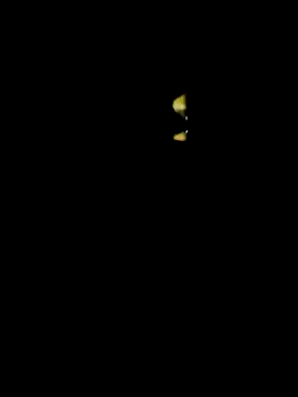 lambakooli online show from 06-13-26, 07:56