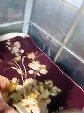 Deshi sexy online show from 07-10-26, 08:44
