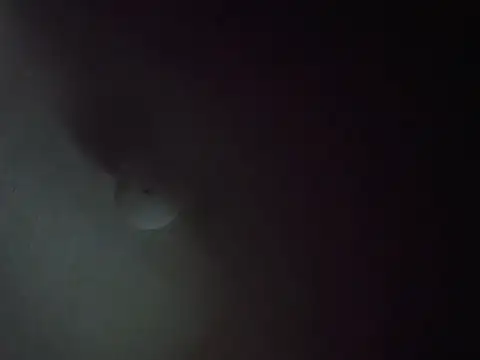 CurveBallbae67 online show from 07-06-26, 04:42