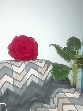 Cupid Mayra online show from 08-05-26, 03:04