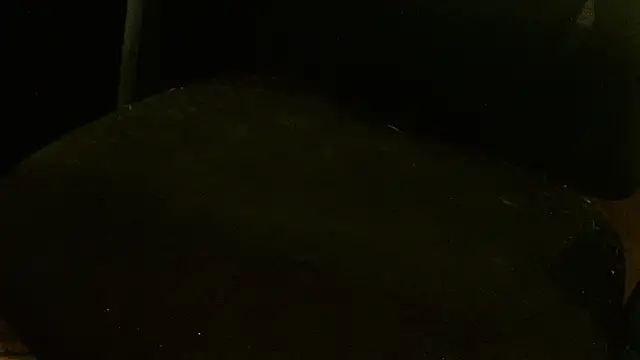 Snapshot of MagicCockMan chatting on 06-20-26, 03:20 MagicCockMan online show from 06-20-26, 03:20