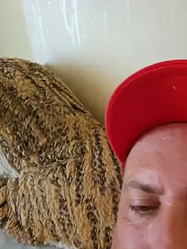 heterohotguy78 online show from 07-24-26, 10:46