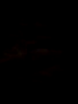 luna2977 online show from 06-30-26, 01:56