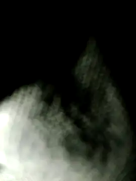 Cant get caught online show from 07-29-26, 09:24
