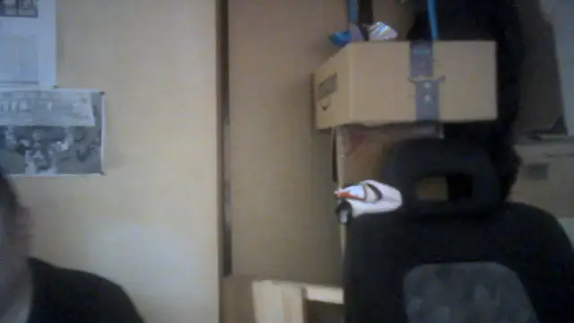 naodanuki online show from 08-08-26, 12:35