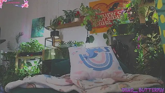 Dead Butterfly online show from 03-05-25, 04:24