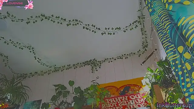 Dead Butterfly online show from 09-18-25, 03:08