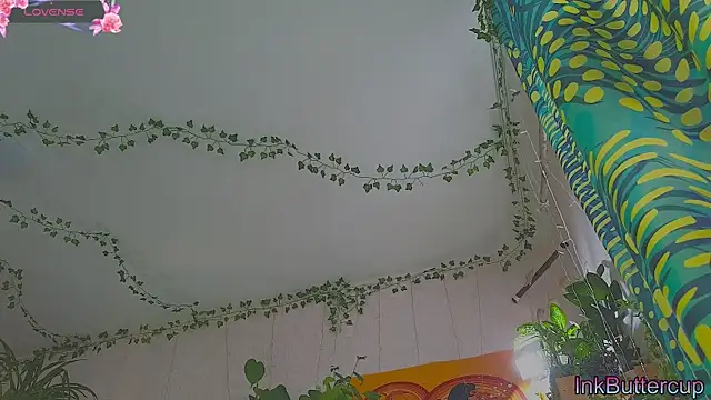 Dead Butterfly online show from 09-24-25, 03:32