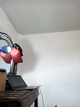 africa deluxe online show from 02-20-26, 06:19