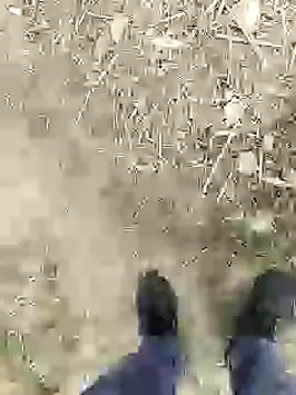 ThethunderPo online show from 01-04-25, 02:46