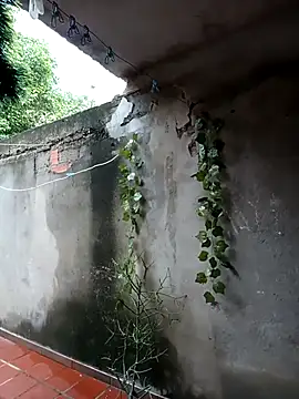 Camilatinass  online show from 04-16-26, 11:55