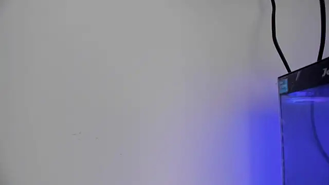 Snapshot of moonsweet1 chatting on 03-14-25, 06:39 moonsweet1 online show from 03-14-25, 06:39