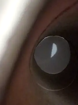 domjoab online show from 01-17-26, 11:41