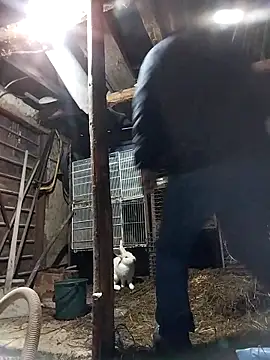 sarpe4 online show from 02-19-26, 04:14