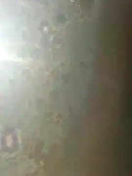 Snapshot of misscectito13 chatting on 11-18-25, 10:31 misscectito13 online show from 11-18-25, 10:31