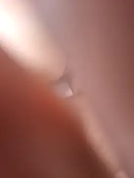 Bull8 online show from 04-19-26, 08:24