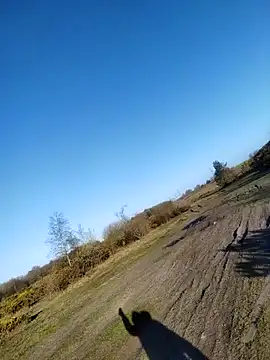 Muzz 2020 online show from 04-10-26, 06:51