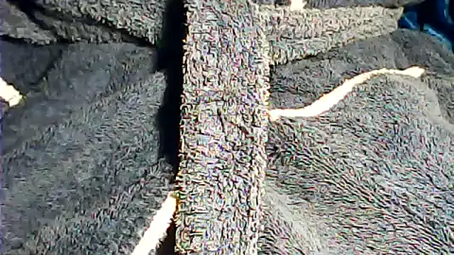 Snapshot of kalinixta chatting on 10-02-25, 07:32 kalinixta online show from 10-02-25, 07:32