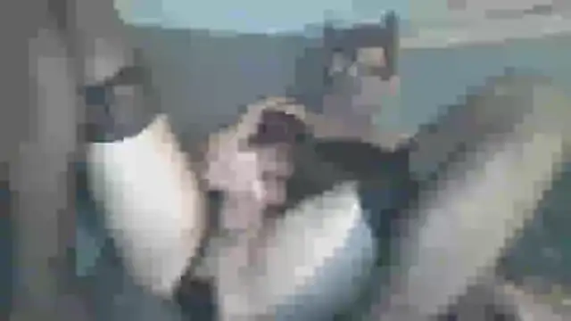 chceciedalsiebie online show from 02-03-26, 02:53