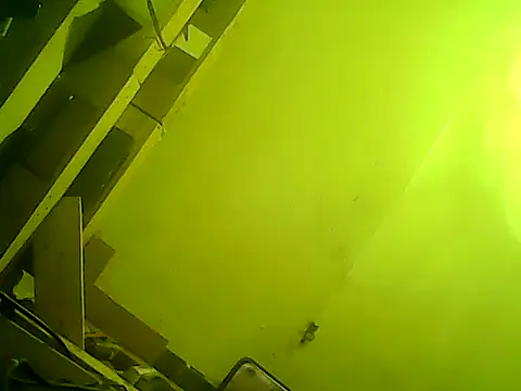 god23free online show from 02-23-25, 03:51