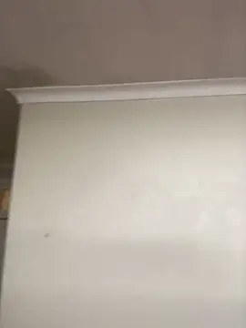 Snapshot of LuciousLips96 chatting on 11-06-25, 04:19 LuciousLips96 online show from 11-06-25, 04:19