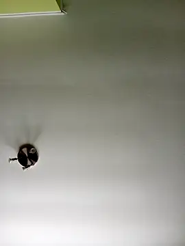 Snapshot of NiceHunter89 chatting on 02-20-25, 10:37 NiceHunter89 online show from 02-20-25, 10:37