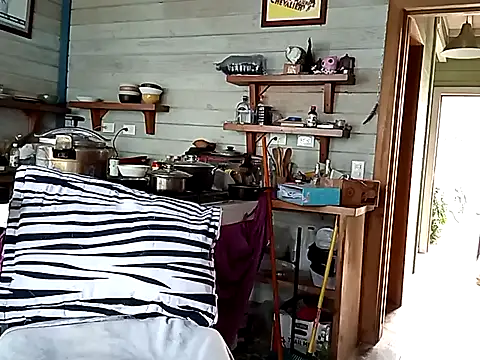 Snapshot of Luna-Natural chatting on 01-05-25, 08:31 Luna-Natural online show from 01-05-25, 08:31