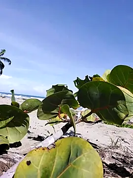 Snapshot of Luna-Natural chatting on 12-14-25, 04:23 Luna-Natural online show from 12-14-25, 04:23