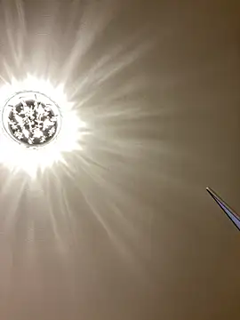 PreciousKittyXO online show from 11-07-25, 01:27