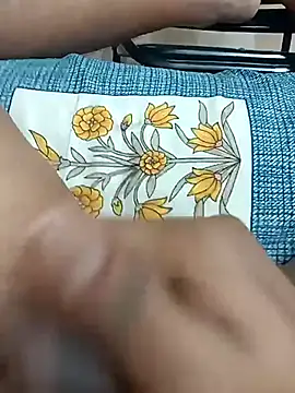 Indianshine online show from 02-04-26, 05:13