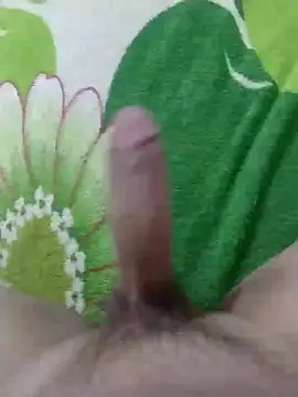 dickbastienweed online show from 01-30-25, 08:42