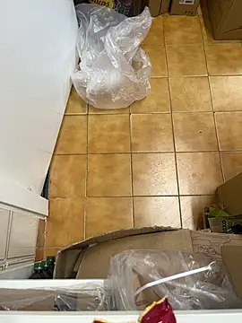 Mindnorthcam2 online show from 02-16-26, 07:48