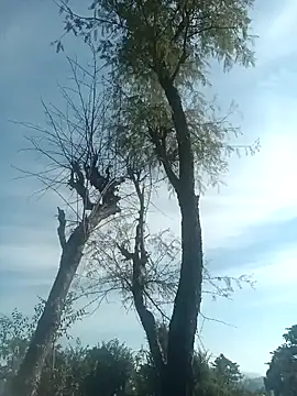 Snapshot of SunnyleoneBG chatting on 12-15-24, 07:46 SunnyleoneBG online show from 12-15-24, 07:46