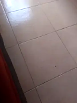 Robhalford33 online show from 01-06-26, 07:06