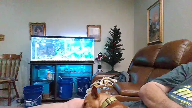 1964peterbilt1 online show from 12-30-24, 01:48