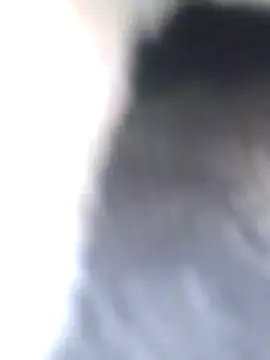 Snapshot of Dirtyfeelin chatting on 01-27-25, 08:40 Dirtyfeelin online show from 01-27-25, 08:40