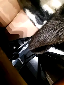 Snapshot of Dirtyfeelin chatting on 11-18-25, 02:43 Dirtyfeelin online show from 11-18-25, 02:43