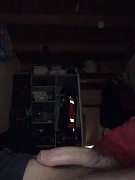 Snapshot of Chris-LE91 chatting on 01-15-26, 03:55 Chris-LE91 online show from 01-15-26, 03:55